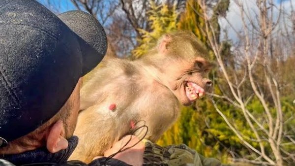 У ЛЮСИ СДАЮТ НЕРВЫ! Стоит Денису со Степой отойти хоть чуть-чуть от нее НАЧИНАЕТСЯ ИСТЕРИКА!