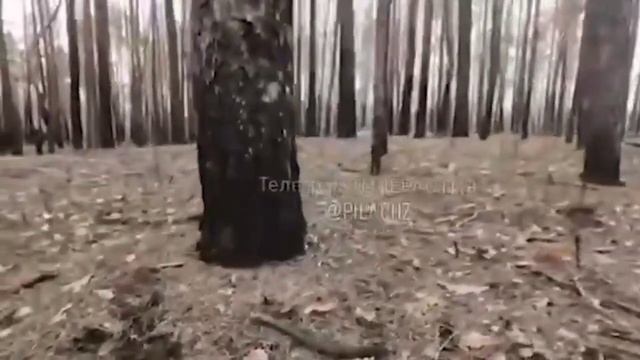 Ворвались в блиндаж к наёмникам. Штурм от первого лица