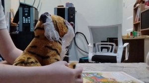 сказки 5. теремок