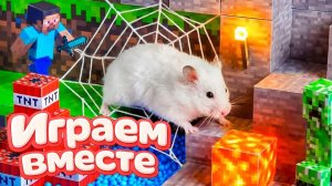 ХОМЯК ВЫБИРАЕТСЯ ИЗ СЕКРЕТНОЙ ХОМЯЧЕЙ ТЮРЬМЫ !  Помогаем выбраться из лабиринта МАЙНКРАФТ