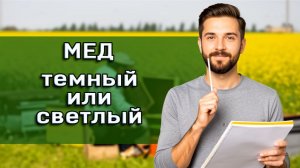 7 секретов мёда: как отличить ценный продукт и не навредить здоровью