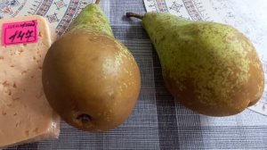 15-02-2026 Влог/Настроение ВЕСНА// МНОГО ПОКУПОК РАЗНЫХ