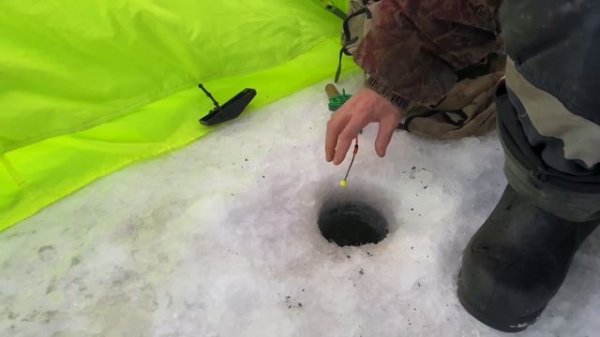 -26 на ветру, морда рыбины не лезет в лунку