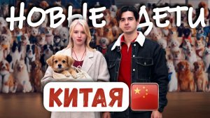 Собаки вместо детей? Новый тренд Китая