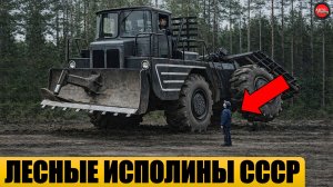 5 редких лесовозных тягачей СССР.