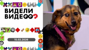Видели видео. Выпуск от 15.02.2026
