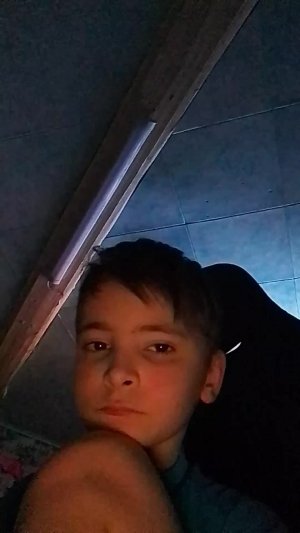 ночной Стрим