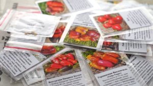 Обзор новых семян перца. Тонкости посева. 2026 год