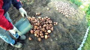 АРХИВ.ПРИШЛА ПОРА..