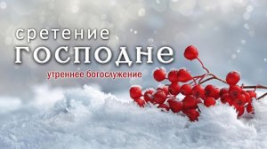 15 февраля 2026 10-00