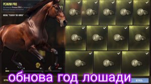 получили все ежедневные награды нового ивента в стандофф 2