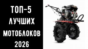 🔝 ТОП-5 лучших мотоблоков 2026 | Лучший мотоблок цена/качество 🏞️🚜