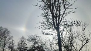 Встреча Зимы с Весной