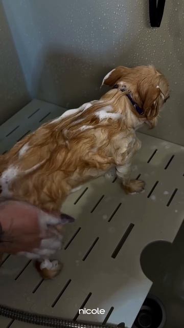 Для записи звоните +7 911 081 4252