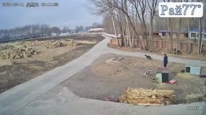 Отказ тормозов