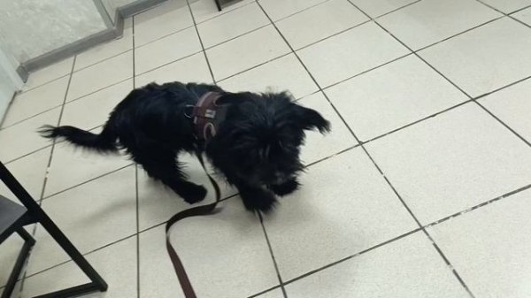 Кай ходил на красоту)