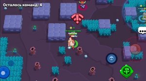 пуш кубуов.