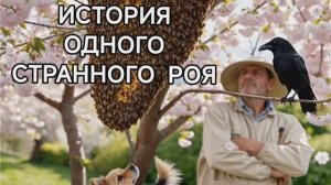 ИСТОРИЯ ОДНОГО СТРАННОГО РОЯ