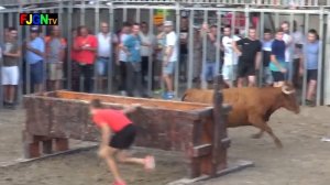 Экстрим и адреналин ЕЗДА НА 🐂