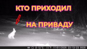 Кто приходил на приваду за угощениями