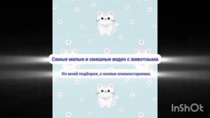 Я вернулась на канал ,и вот что я буду снимать