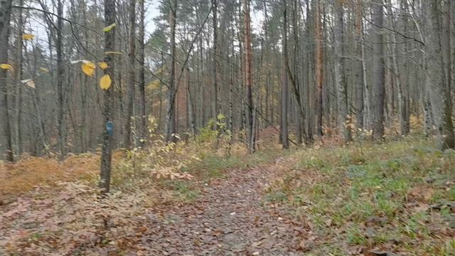 Планченские скалы