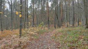 Планченские скалы