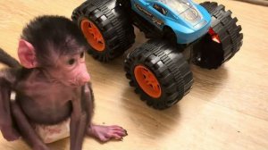 ПОДСМОТРЕННО-ПОДСЛУШАНО! Как ведет себя Николь когда я спряталась?😂