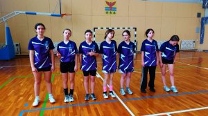 Волейбол (девушки) РОДНИКИ-МАЛИНО