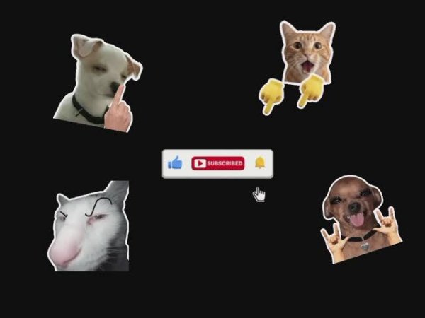 Эдит моего канала