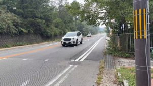 ЯПОНИЯ-ГОРОД КОБЕ, КАНАТНАЯ ДОРОГА, МОСТ, ЛЕС, ЕДА, РОБОТ(Me & Australia)