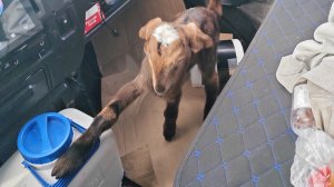 возвращение домой