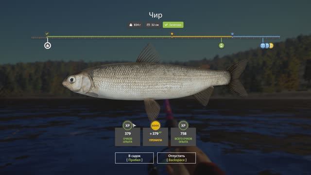 Russian Fishing 4   Н. Тунгуска  ловля на матч