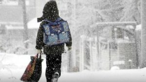 Я еду в жизнь... мелодекламация  стихи и исполнение А. Михайлов