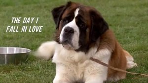 Dolly Parton & James Ingram - The Day I Fall In Love