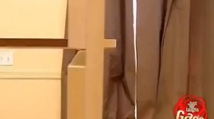 Вот это да, мастер, похоже, совсем с ума сошел! Наверное, он решил, что у него крыша поехала!