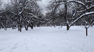 Лгут слова. Песня.