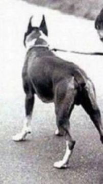 ДРУГ В БЕДЕ НЕ БРОСИТ.. ЛИШНЕГО НЕ СПРОСИТ🤗🤗!😆 смотреть онлайн