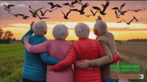 НАШИ ГОДЫ КАК ПТИЦЫ ЛЕТЯТ...