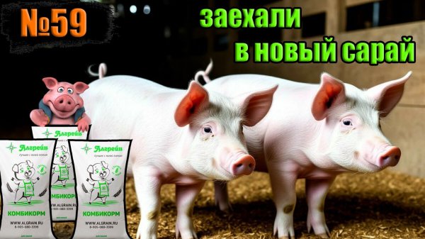 №59 Еще у двух свинок новоселье / опорос свиноматки дюрок / приобрел корма