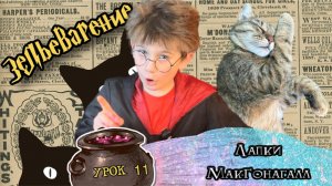 11 лапки макгонагалл