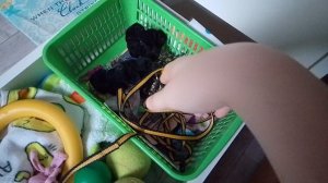 Новая плюшка?|ПДБ|ПТАВА