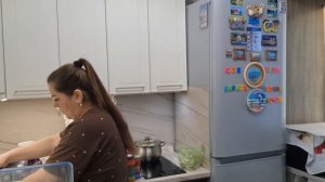 Гладим бельё/Мою холодильник/Успехи у Артёма/Без поломки не обошлось/Мои черенки бегоний.