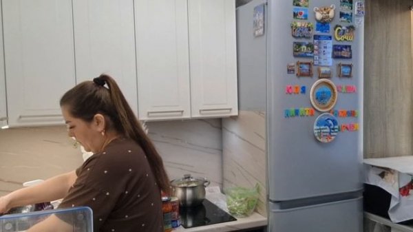 Гладим бельё/Мою холодильник/Успехи у Артёма/Без поломки не обошлось/Мои черенки бегоний.