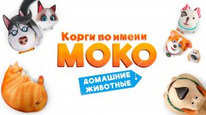 Корги по имени Моко. Домашние животные. Мультфильм, детский. Обзор