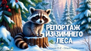Репортаж из зимнего леса