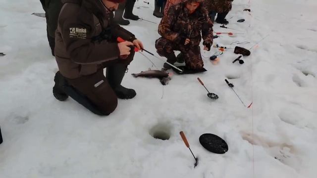 15.02.26 г РК Волна. смотреть онлайн