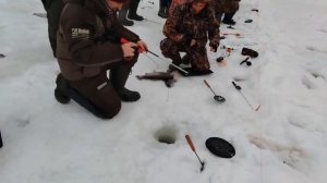 15.02.26 г РК Волна.