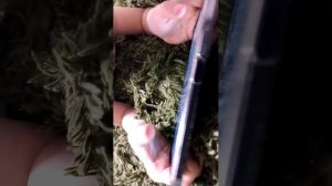 добиваем медаль