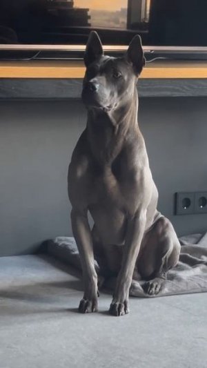 Да, согласен. Я совершенство🥰))